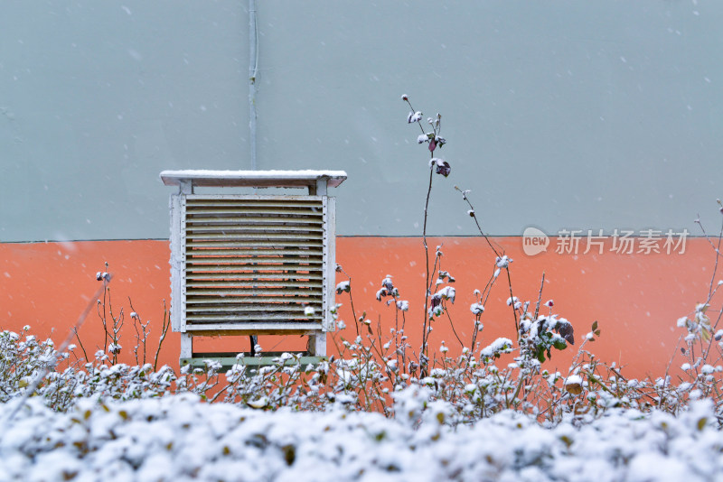 雪中  带积雪   厂区 雪景 大雪