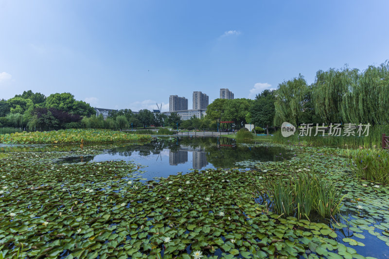 武汉关山荷兰风情园风景