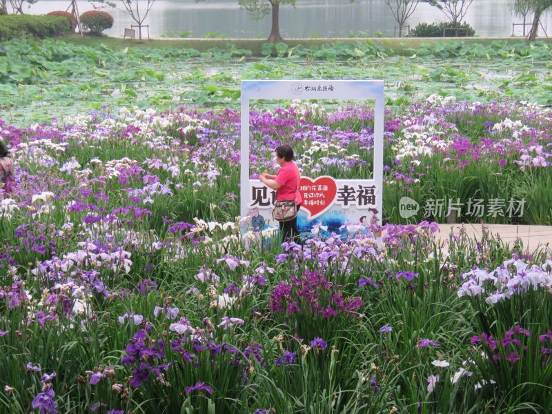 江苏无锡太湖鼋头渚风景区