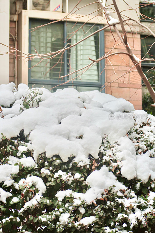 冬天雪景