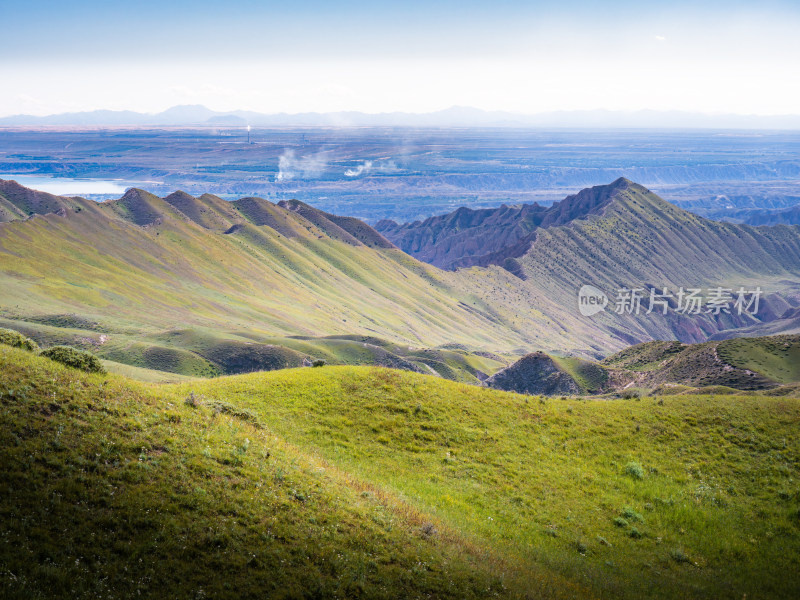 青海高山牧场