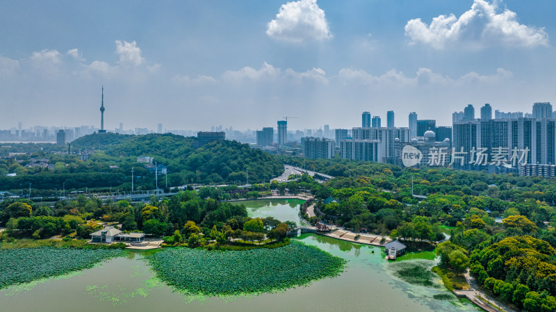 湖北武汉地标之龟山电视塔与月湖风景区