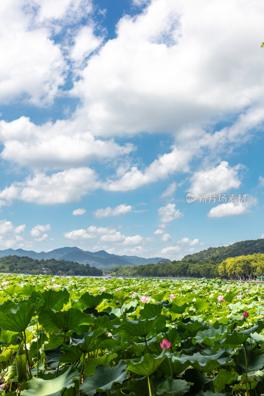 杭州西湖风光