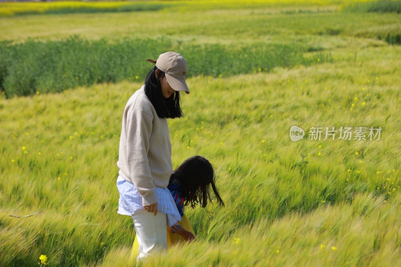 母女漫步麦田享受休闲时光