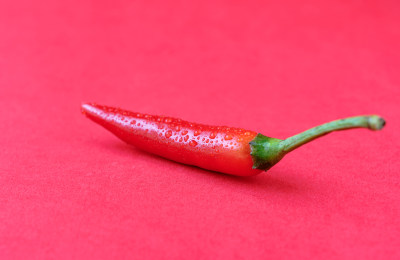 红色背景鲜艳的红辣椒