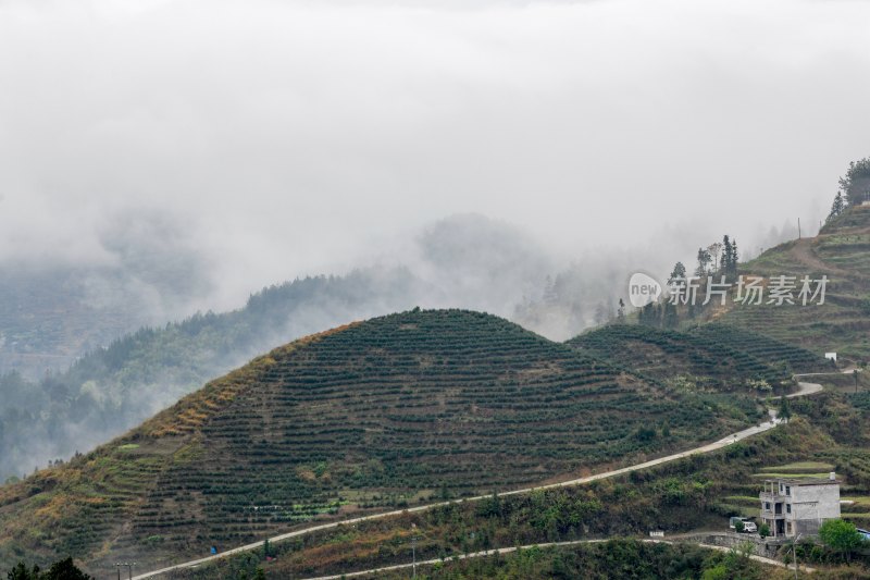 重庆酉阳：青山雾漫别样美