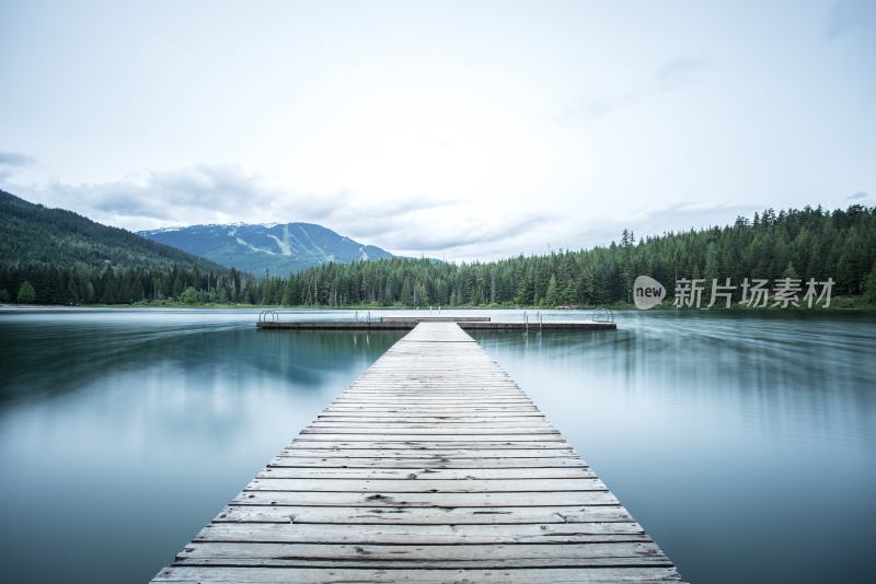 大自然森林树木旅行徒步野营