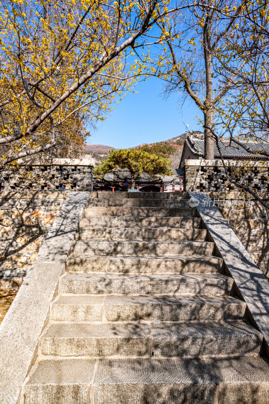 山东泰安普照寺景观景点