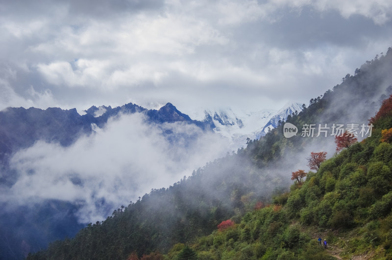 云雾中森林山川自然风景