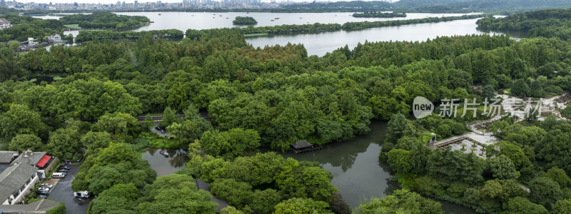 杭州西湖十景曲院风荷夏日