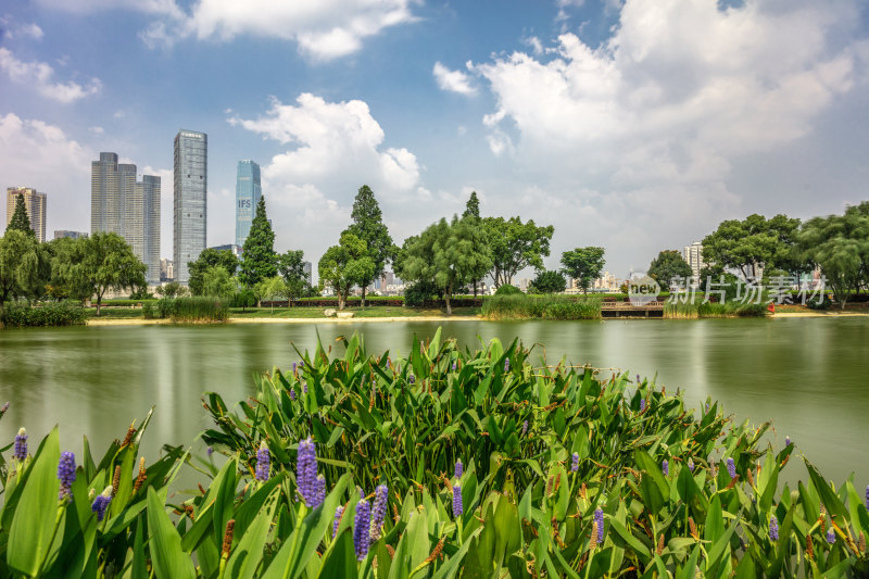 湖南城市风光