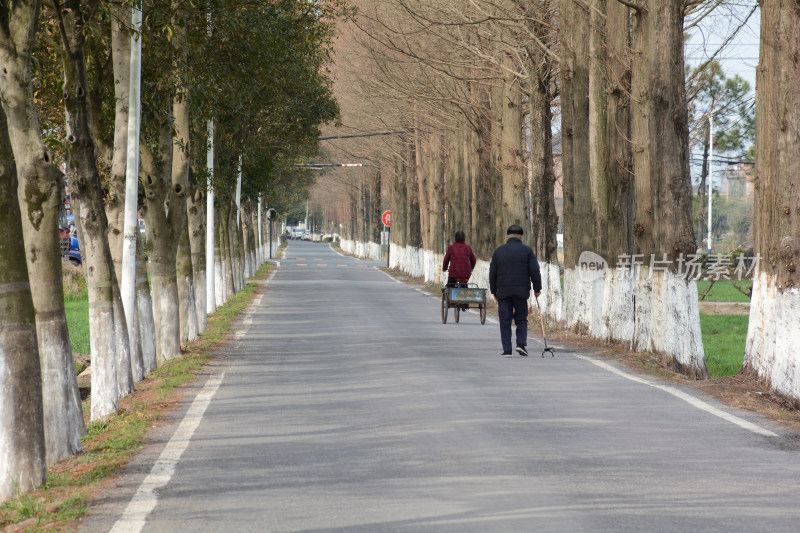 乡村道路上的老年夫妇