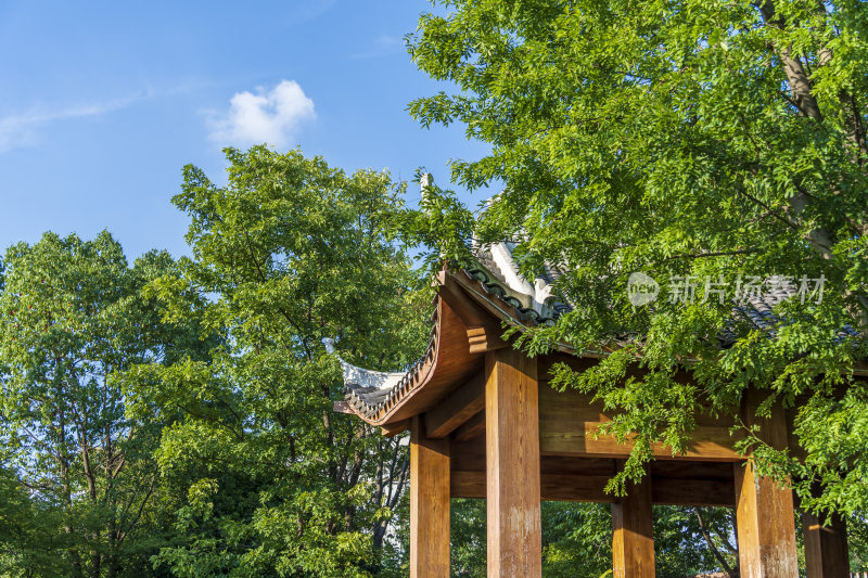 武汉硚口区园博园风景