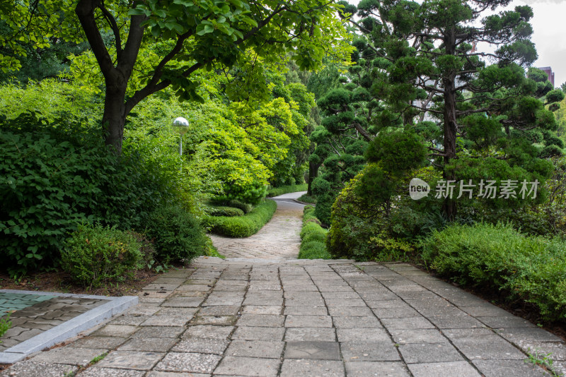 韩国首尔梨花女子大学校园景观