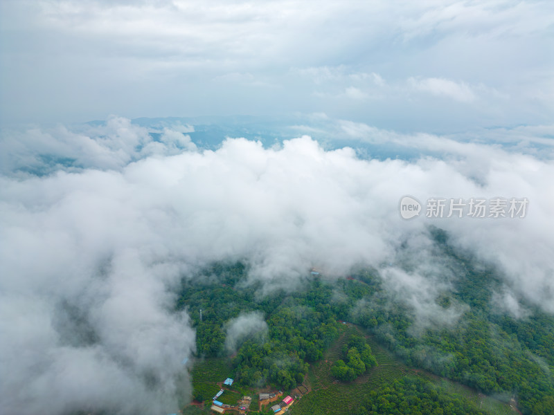 航拍雨后山中云雾缭绕