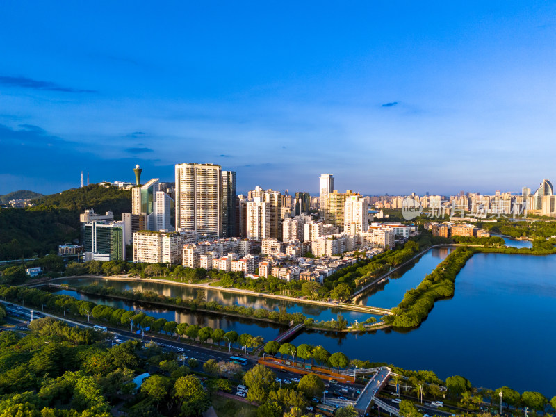 福建厦门城市风光绿化植物航拍图