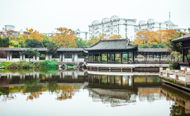 浙江宁波月湖公园景观风光