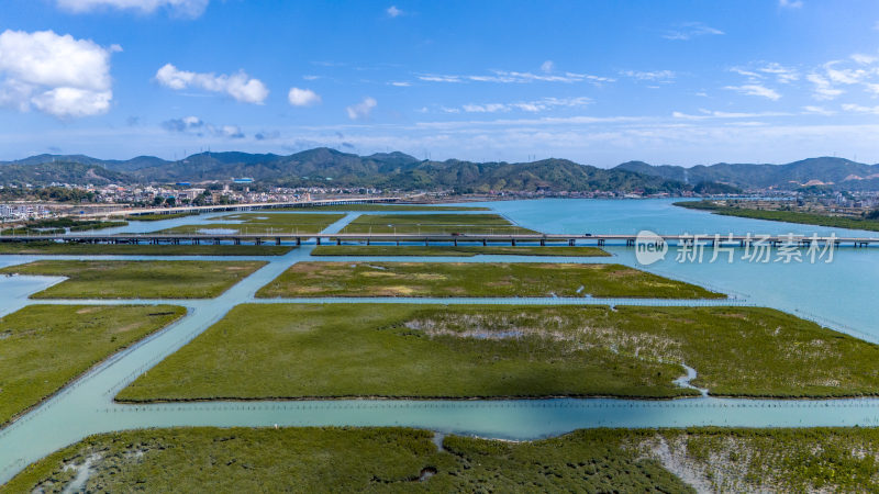 惠州盐洲海洋湿地公园-红树林湿地风光