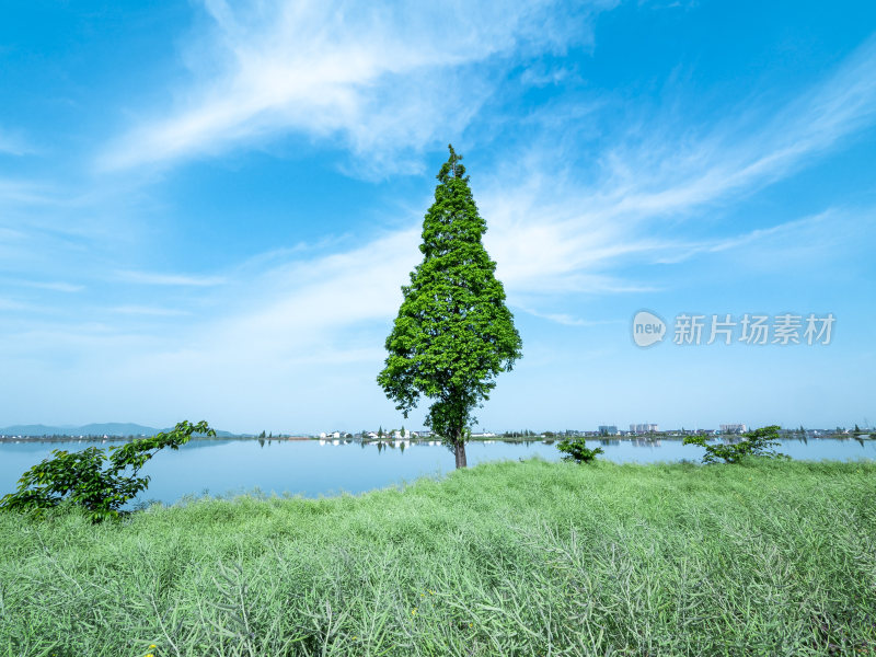 绍兴江南水乡东鉴湖风景