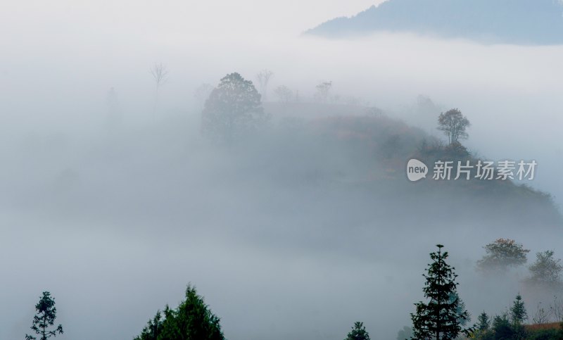 重庆酉阳：青山村庄雾