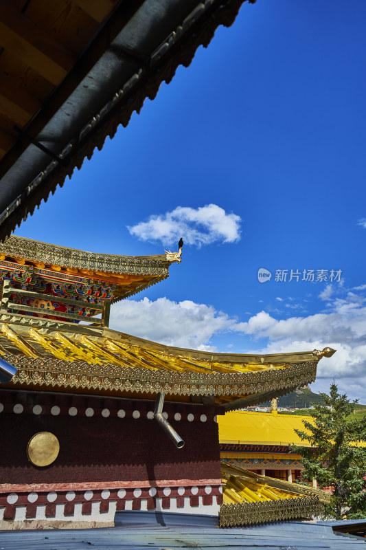 青海阿坝州郎木寺