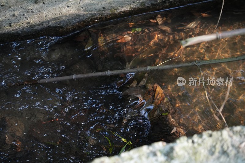 小溪流水