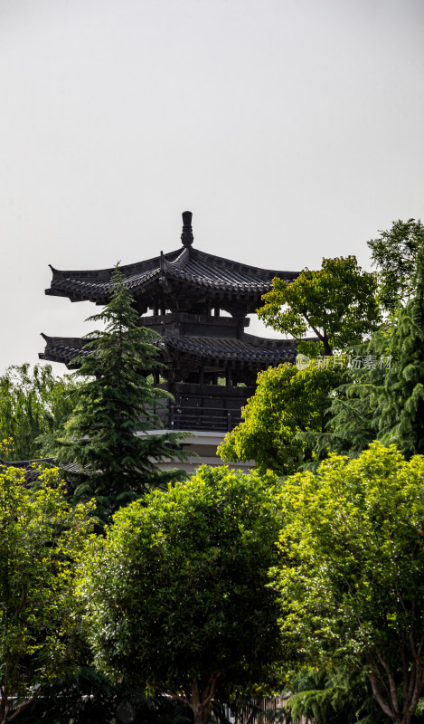 洛阳隋唐遗址植物园景点景观