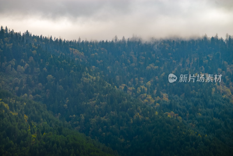 云雾中的森林山峰虎头山