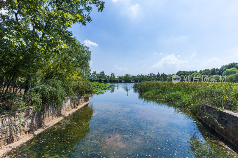 武汉蔡甸汤湖公园生态园林风景