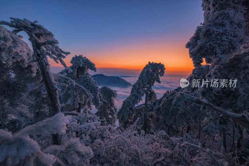 安吉桐杭岗森林雪景云海日落霞光