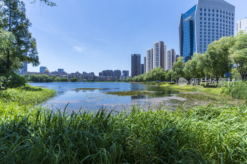 武汉武昌区内沙湖公园风景