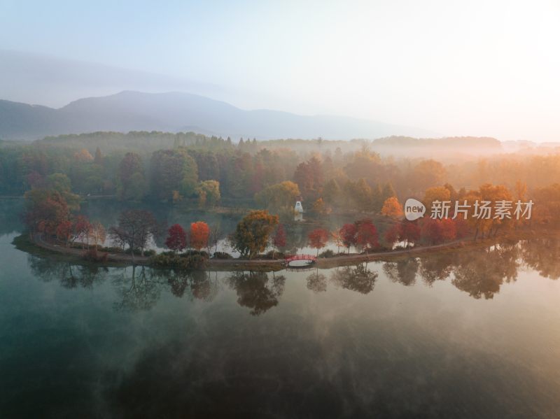 南京中山植物园前湖秋季风光