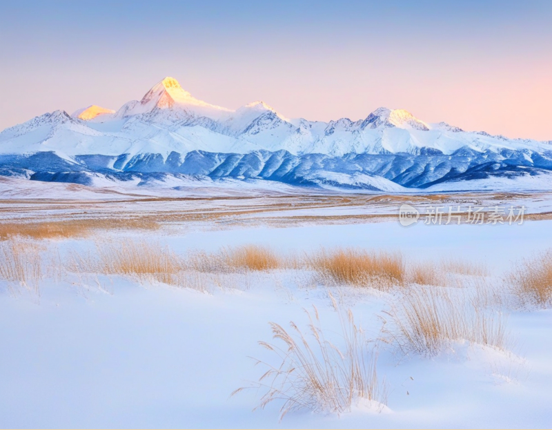 高山雪地