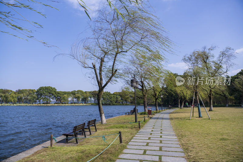 杭州西湖花港观鱼风景