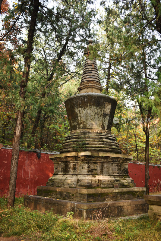 古刹塔林秋色 北京潭柘寺塔林