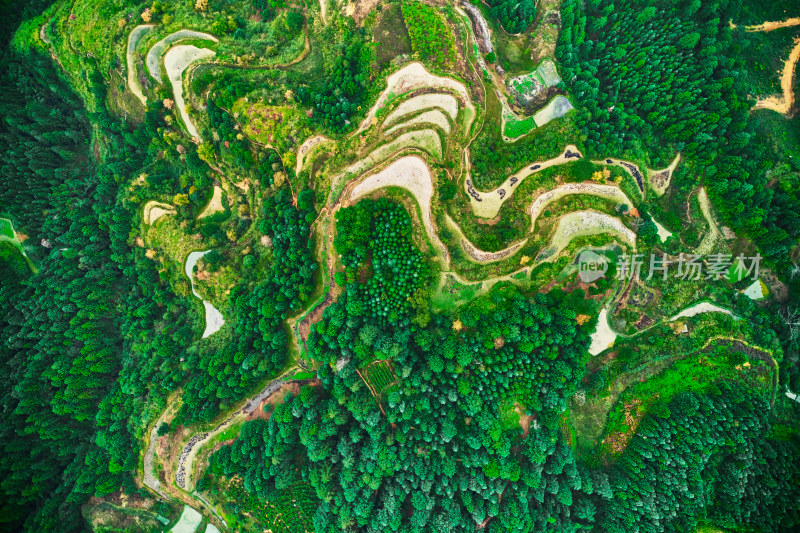 贵州山区的梯田