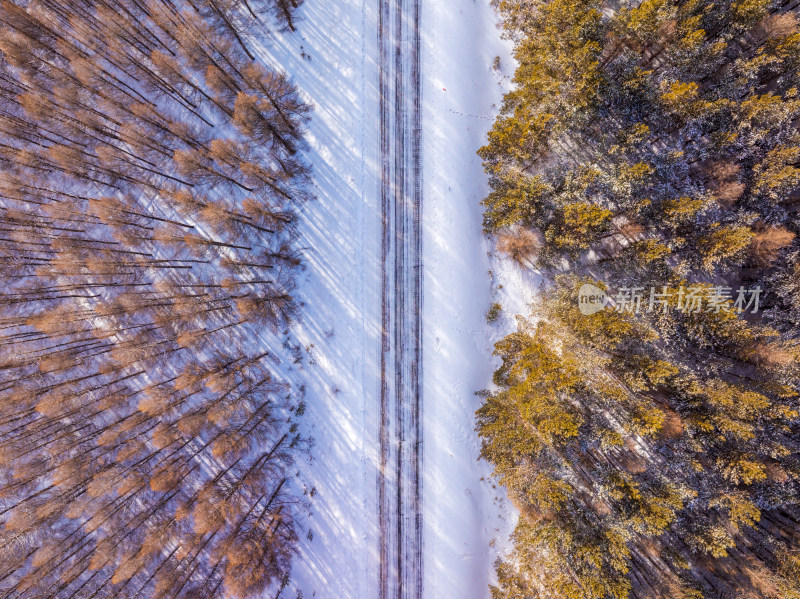 雪后树林间道路的航拍景象