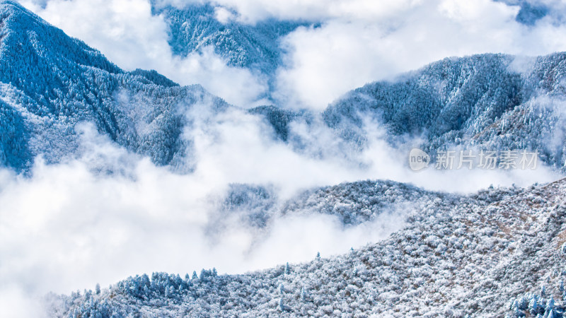 四川成都西岭雪山上空的云海群山航拍