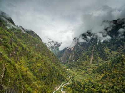 秋天树林云雾山峰