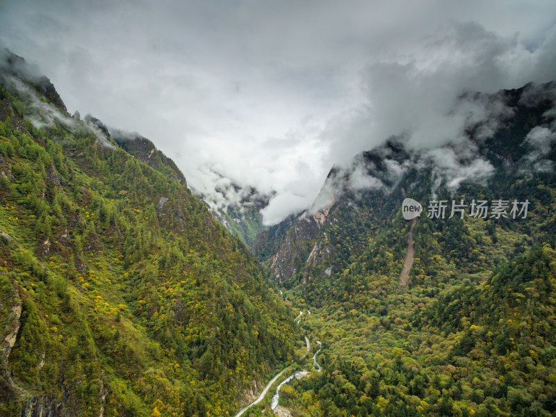 秋天树林云雾山峰