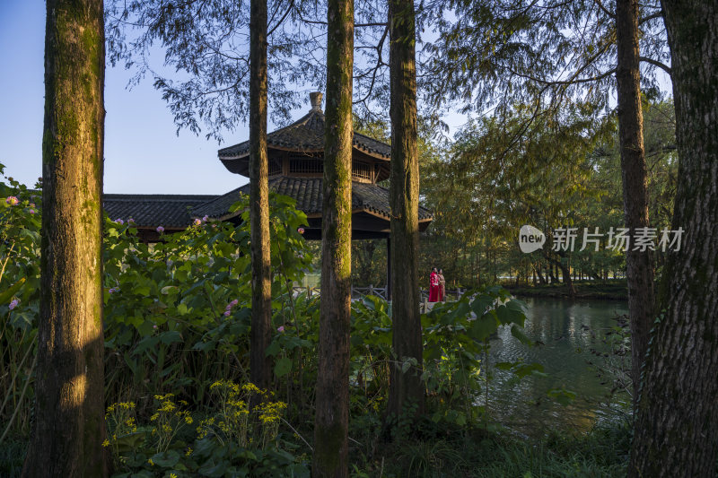 杭州西湖茅家埠江南水乡风景