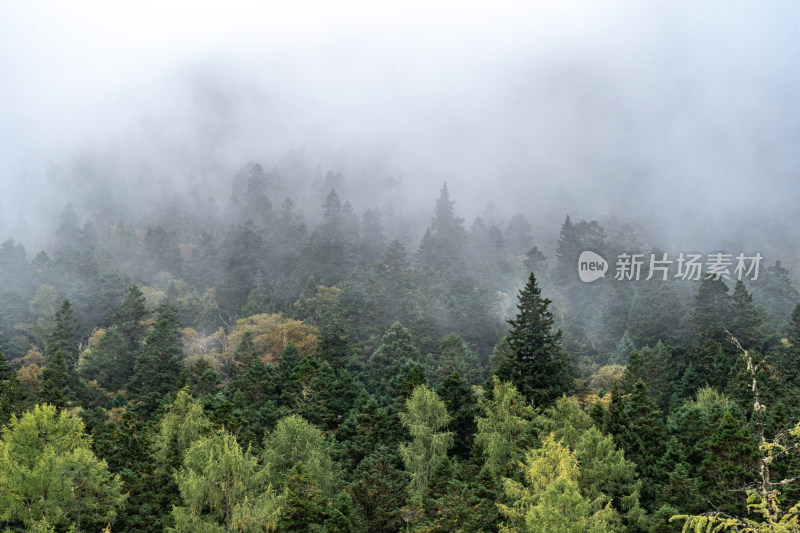 四川阿坝藏族羌族自治州黄龙风景区