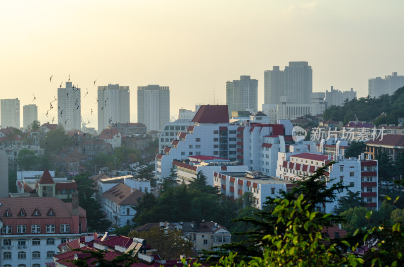 城市中红顶建筑与高楼的景象