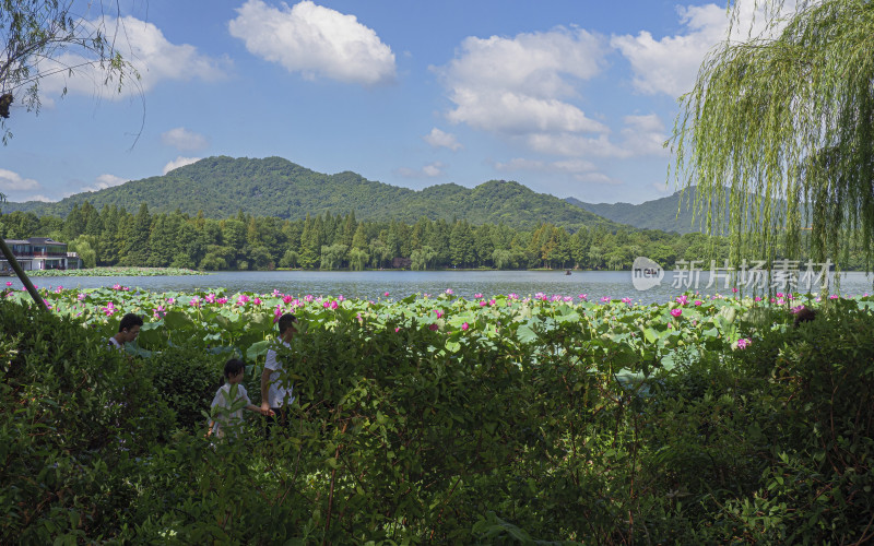 浙江省杭州市西湖景区