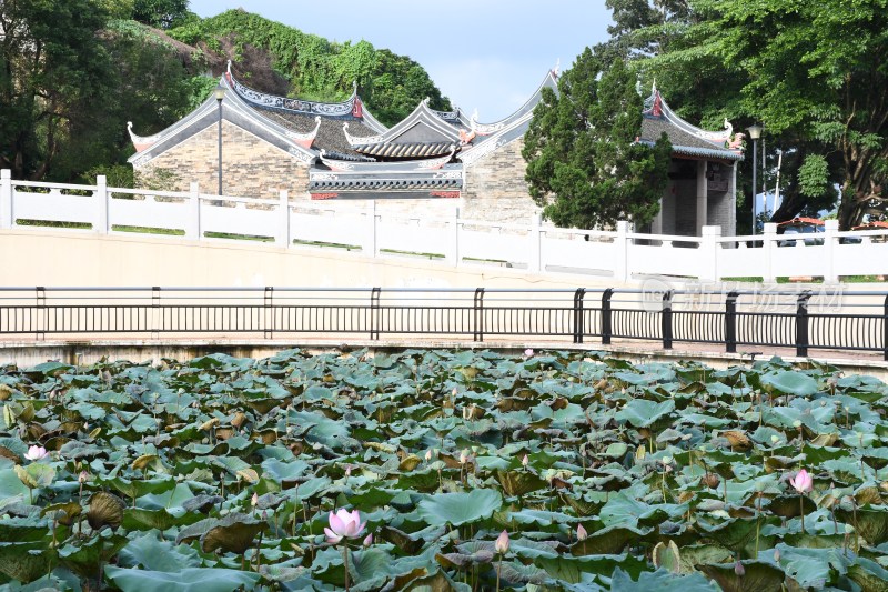 广东东莞：荷花池与清境宫交相辉映