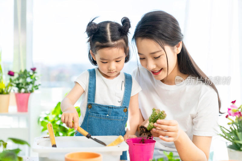 快乐的母女俩在家种植盆栽