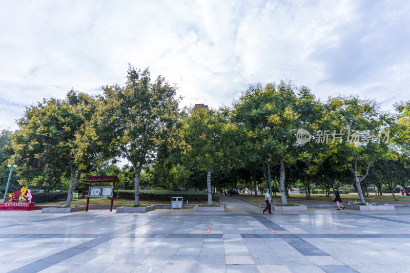 武汉江夏新世纪公园风景