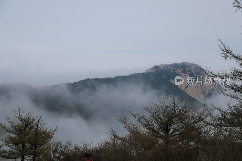 云海 山峰 山峦 山东 泰山