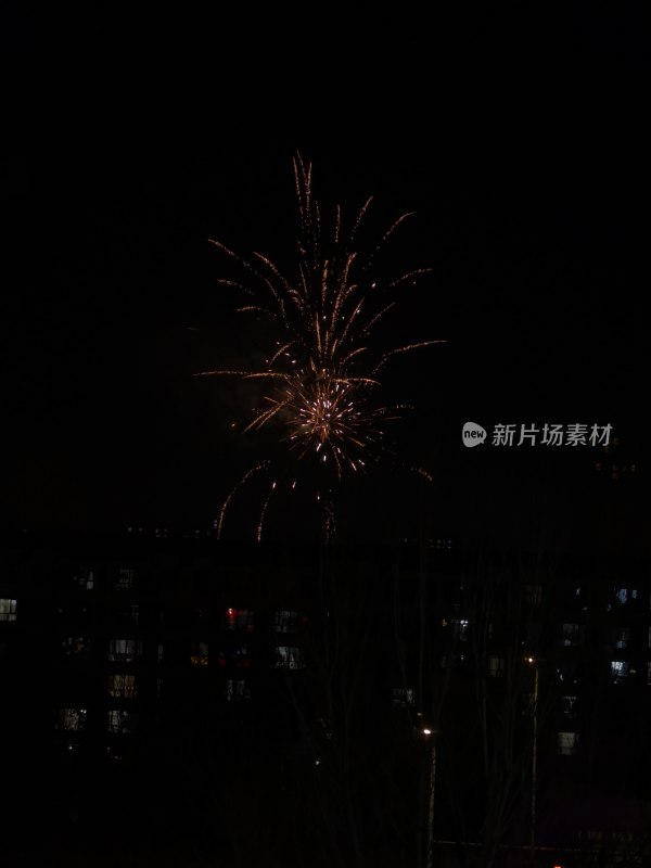 城市夜空绽放绚烂烟花的美丽景象