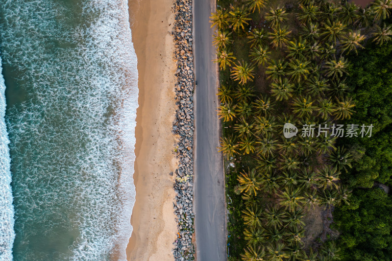 航拍海南万宁日月湾海边椰林公路